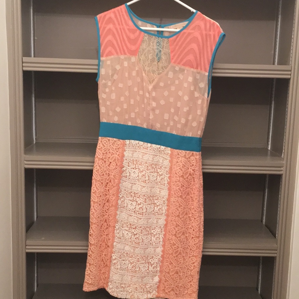 Champagne & Strawberry Dress